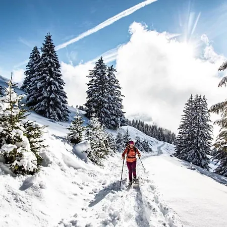 Balcons De Bc19 Nature & Mountain Apartment Chatel