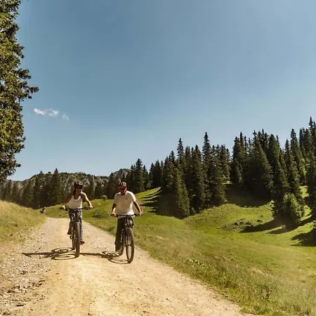 Balcons De Bc19 Nature & Mountain * Chatel